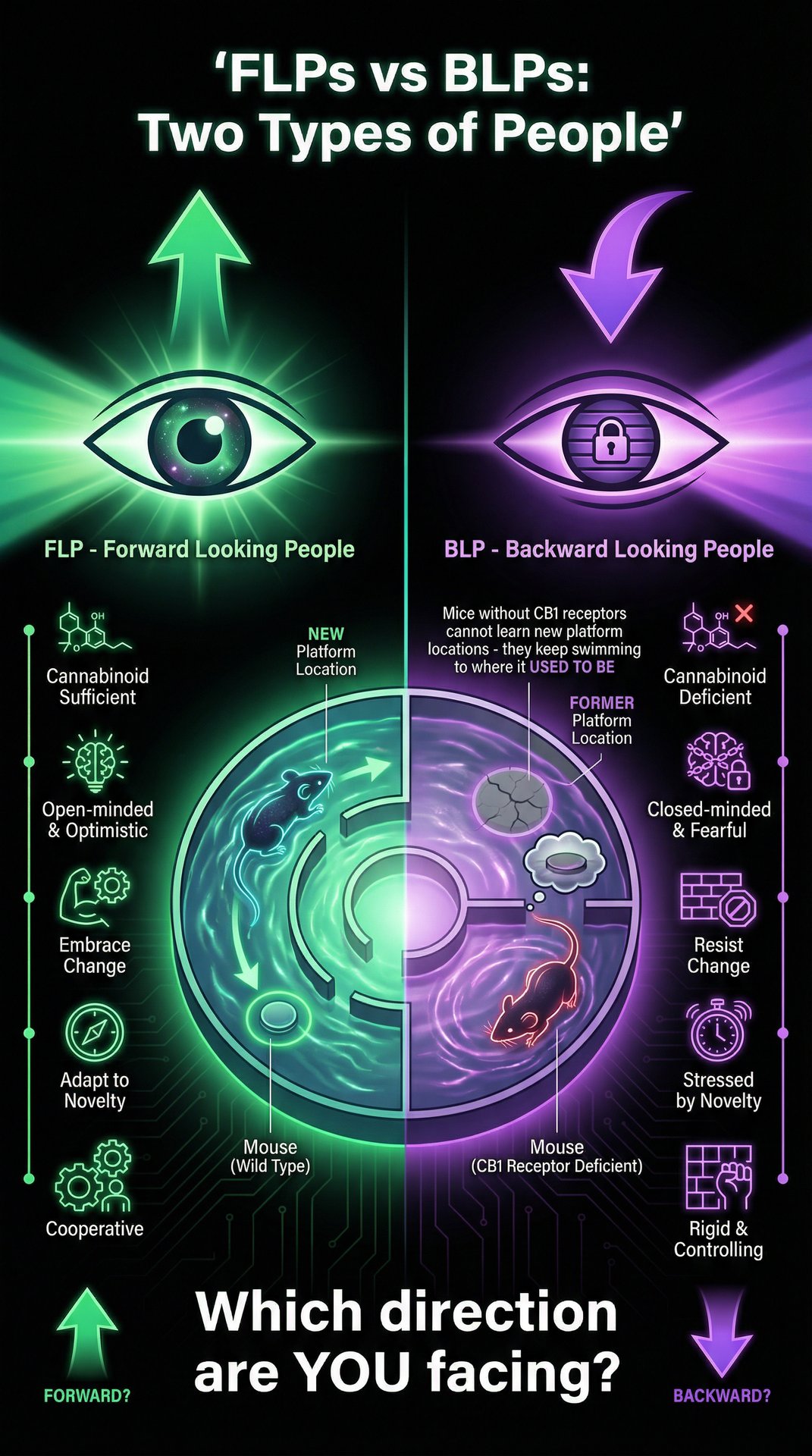 FLPs vs BLPs - Two Types of People